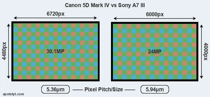 5D Mark IV versus A7 III MP