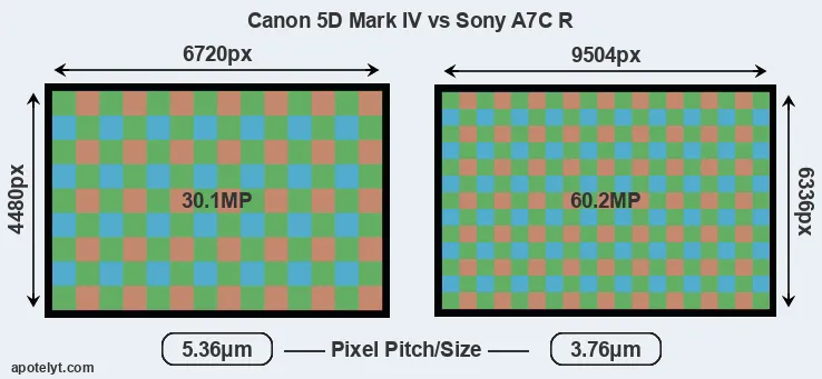 5D Mark IV versus A7C R MP