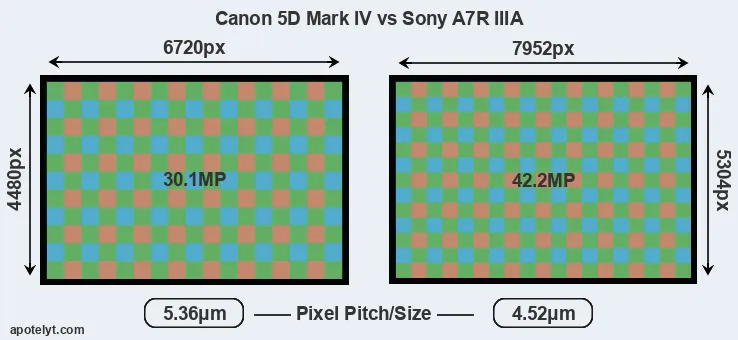 5D Mark IV versus A7R IIIA MP
