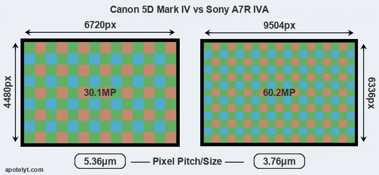 5D Mark IV versus A7R IVA MP