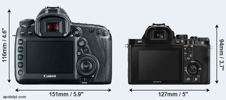 Comparison 5D Mark IV or A7S rear