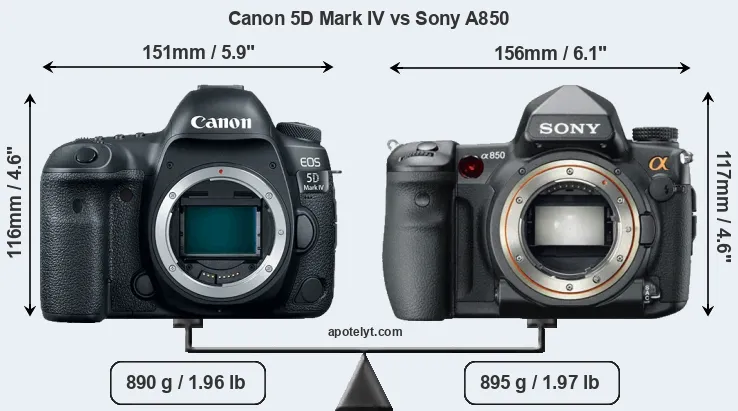Size Canon 5D Mark IV vs Sony A850
