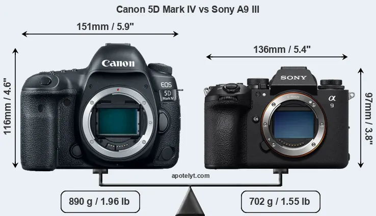 Size Canon 5D Mark IV vs Sony A9 III