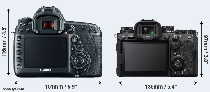 Comparison 5D Mark IV or A9 III rear