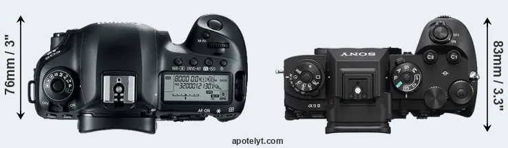 Compare 5D Mark IV versus A9 III top