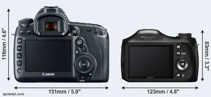 Comparison 5D Mark IV or H200 rear