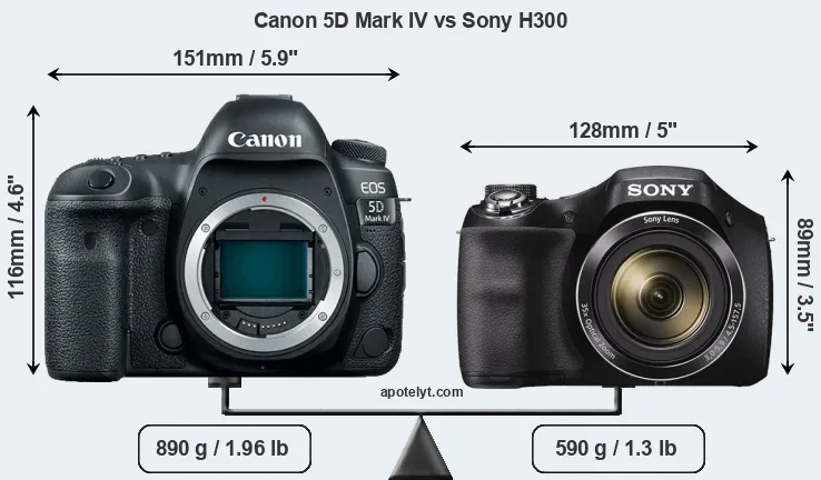 Size Canon 5D Mark IV vs Sony H300