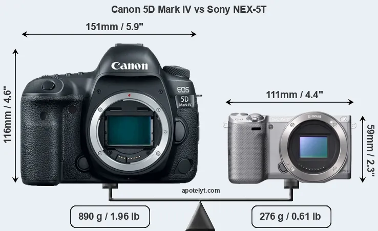 Size Canon 5D Mark IV vs Sony NEX-5T
