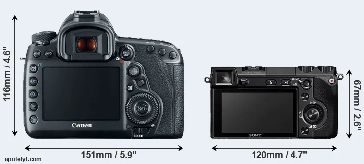 Comparison 5D Mark IV or NEX-7 rear