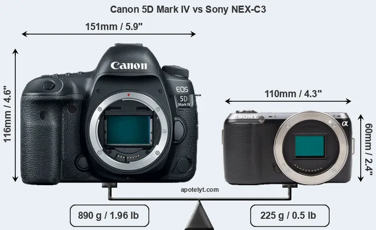 Size Canon 5D Mark IV vs Sony NEX-C3