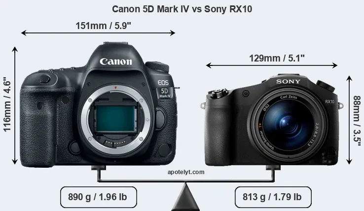 Size Canon 5D Mark IV vs Sony RX10