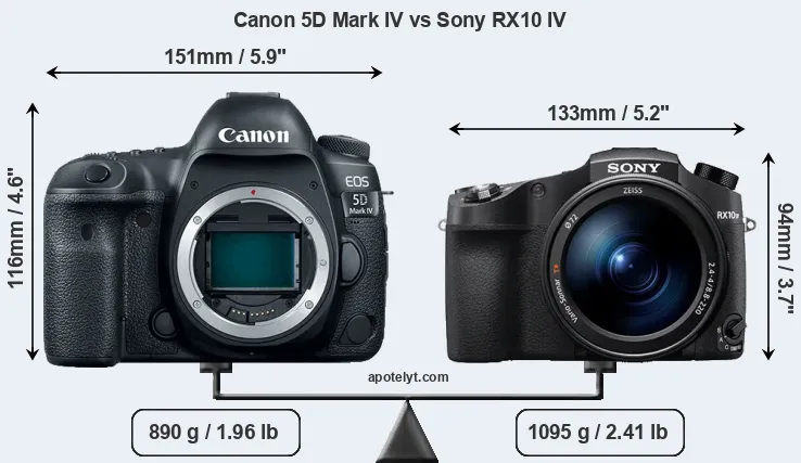 Size Canon 5D Mark IV vs Sony RX10 IV