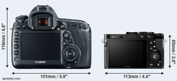 Comparison 5D Mark IV or RX1R II rear