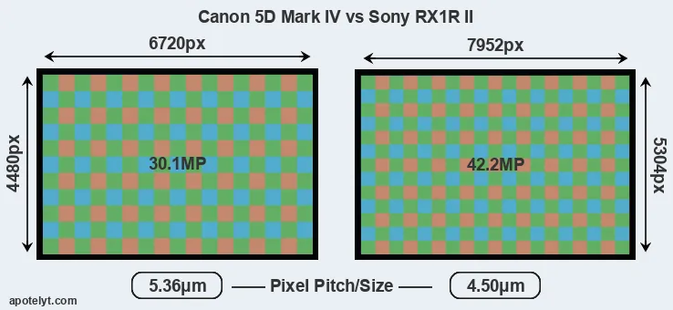 5D Mark IV versus RX1R II MP