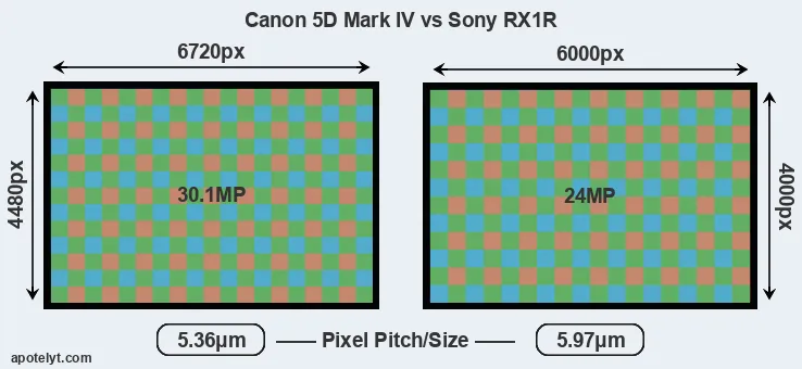 5D Mark IV versus RX1R MP
