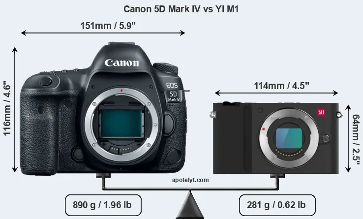 Size Canon 5D Mark IV vs YI M1