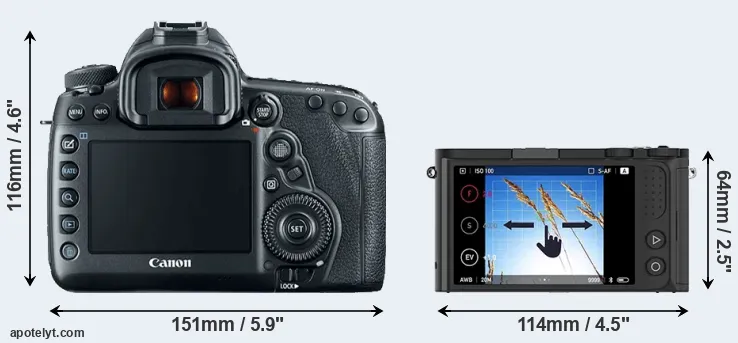 Comparison 5D Mark IV or M1 rear
