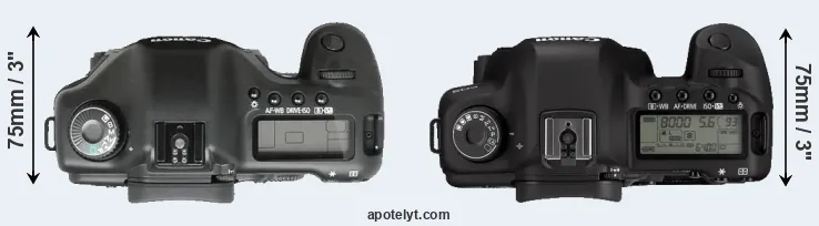 Compare 5D versus 5D Mark II top