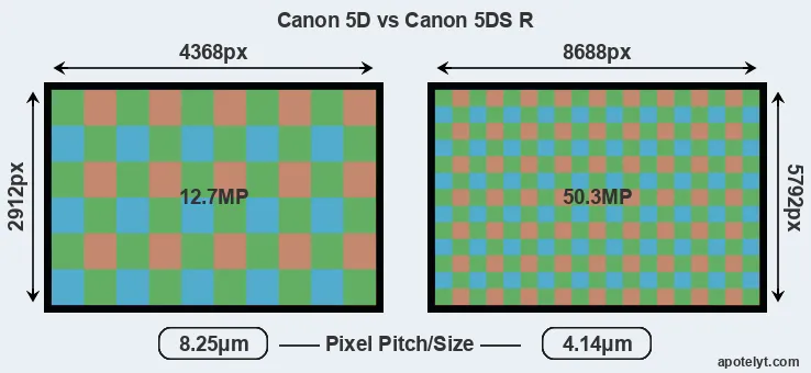 5D versus 5DS R MP