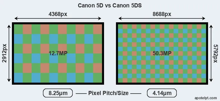 5D versus 5DS MP
