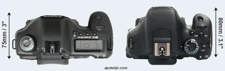 Compare 5D versus 600D top