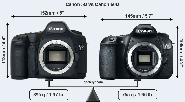 Size Canon 5D vs Canon 60D
