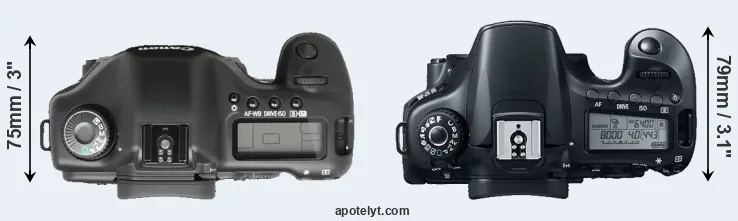 Compare 5D versus 60D top