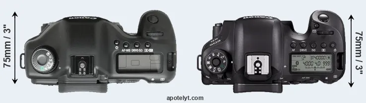 Compare 5D versus 6D Mark II top