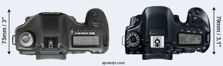 Compare 5D versus 80D top
