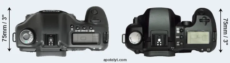 Compare 5D versus D60 top