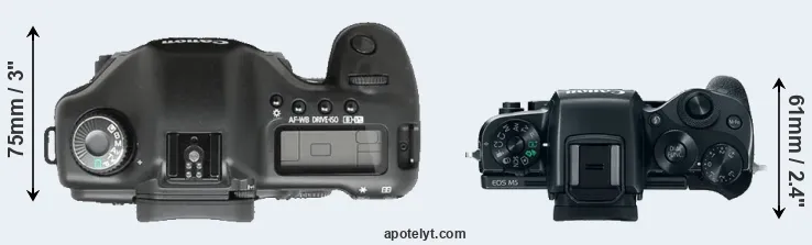 Compare 5D versus M5 top