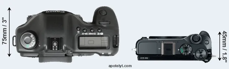 Compare 5D versus M6 top