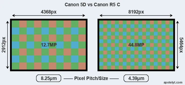 5D versus R5 C MP