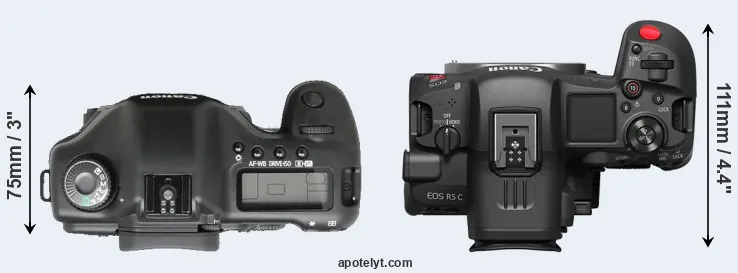 Compare 5D versus R5 C top