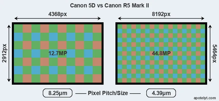 5D versus R5 Mark II MP