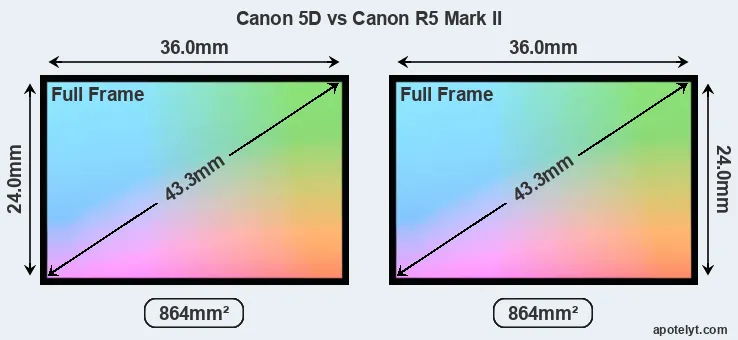 Canon 5D and Canon R5 Mark II sensor measures