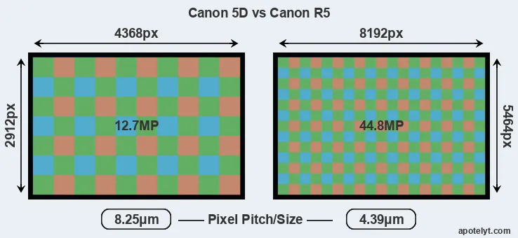 5D versus R5 MP
