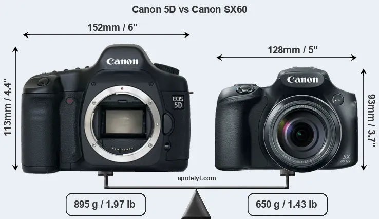 Size Canon 5D vs Canon SX60
