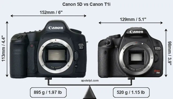 Size Canon 5D vs Canon T1i