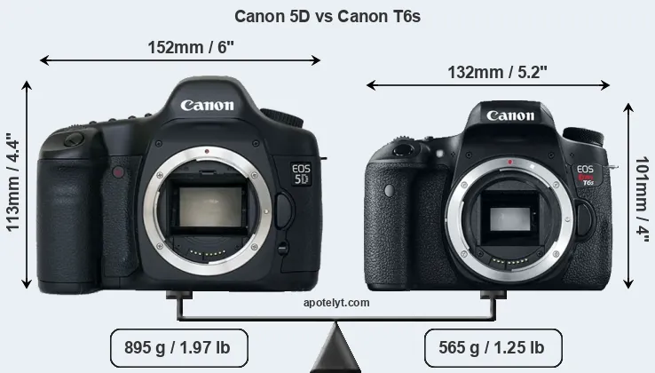 Size Canon 5D vs Canon T6s