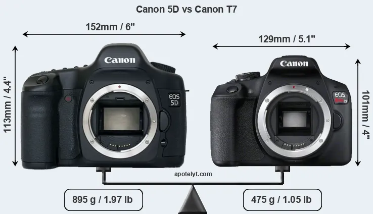 Size Canon 5D vs Canon T7