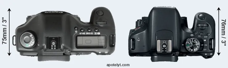 Compare 5D versus T7i top