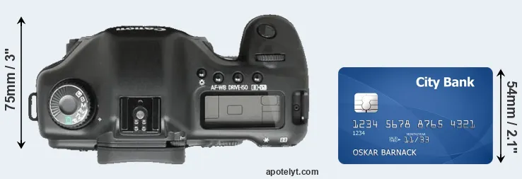 5D versus credit card top view