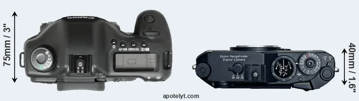 Compare 5D versus R-D1 top
