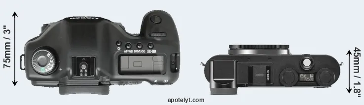 Compare 5D versus CL top