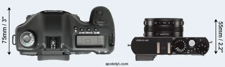 Compare 5D versus D-LUX Typ 109 top