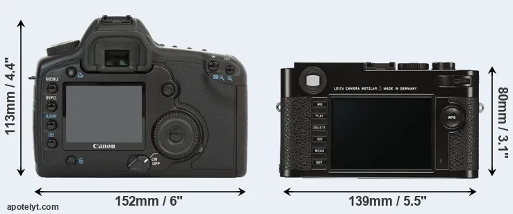 Comparison 5D or M Typ 262 rear