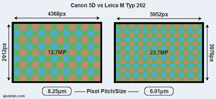 5D versus M Typ 262 MP