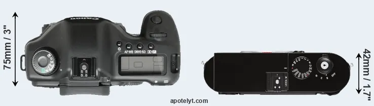 Compare 5D versus M Typ 262 top