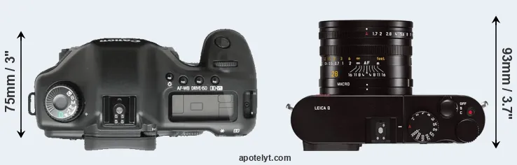 Compare 5D versus Q Typ 116 top